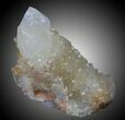 Cactus Quartz Crystals - South Africa #33911-1